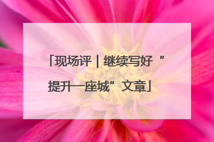 现场评｜继续写好“提升一座城”文章