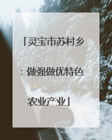 灵宝市苏村乡：做强做优特色农业产业