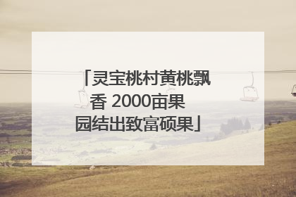 灵宝桃村黄桃飘香 2000亩果园结出致富硕果
