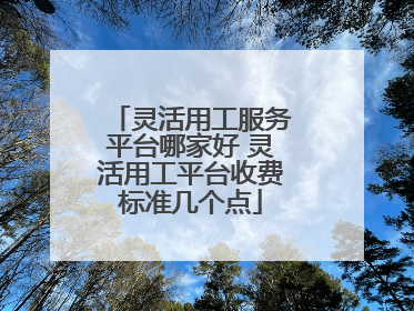 灵活用工服务平台哪家好 灵活用工平台收费标准几个点