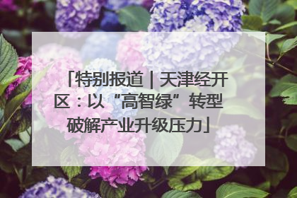 特别报道｜天津经开区：以“高智绿”转型破解产业升级压力