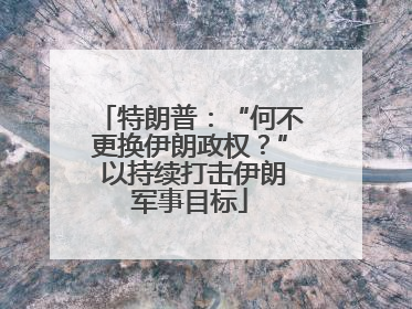 特朗普：“何不更换伊朗政权？” 以持续打击伊朗军事目标