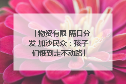 物资有限 隔日分发 加沙民众：孩子们饿到走不动路