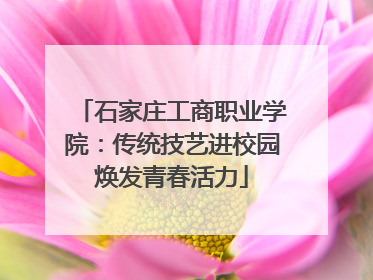 石家庄工商职业学院：传统技艺进校园焕发青春活力