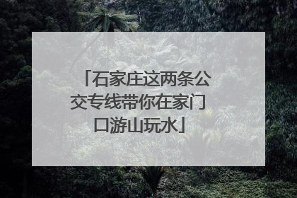 石家庄这两条公交专线带你在家门口游山玩水