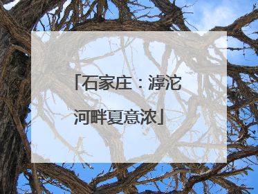 石家庄：滹沱河畔夏意浓