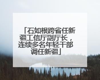 石如根跨省任新疆工信厅副厅长，连续多名年轻干部调任新疆