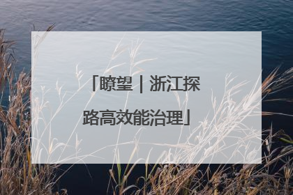 瞭望｜浙江探路高效能治理