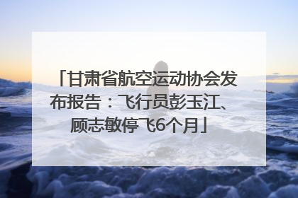 甘肃省航空运动协会发布报告：飞行员彭玉江、顾志敏停飞6个月