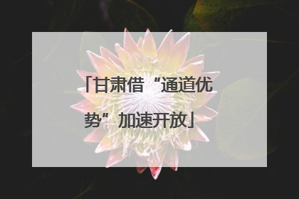 甘肃借“通道优势”加速开放