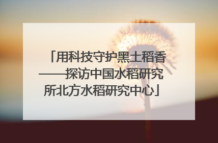 用科技守护黑土稻香——探访中国水稻研究所北方水稻研究中心
