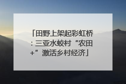 田野上架起彩虹桥：三亚水蛟村“农田+”激活乡村经济