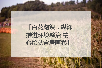 百花湖镇：纵深推进环境整治 精心绘就宜居画卷