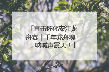 直击怀化安江龙舟赛｜千年龙舟魂，呐喊声震天！