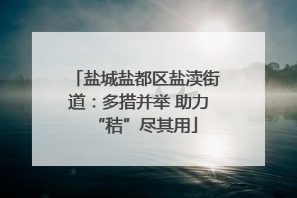 盐城盐都区盐渎街道：多措并举 助力“秸”尽其用