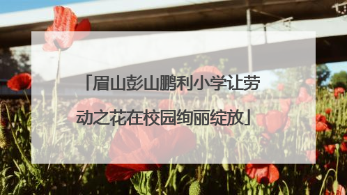 眉山彭山鹏利小学让劳动之花在校园绚丽绽放