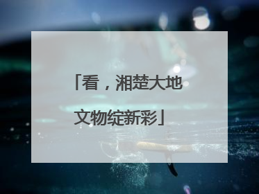 看，湘楚大地文物绽新彩
