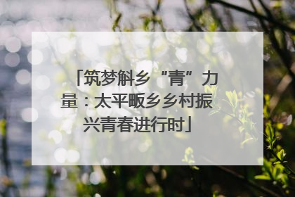 筑梦斛乡“青”力量：太平畈乡乡村振兴青春进行时
