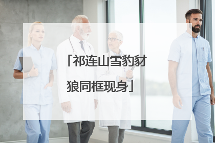 祁连山雪豹豺狼同框现身