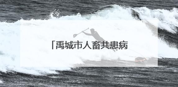 禹城市人畜共患病防控微电影进乡村