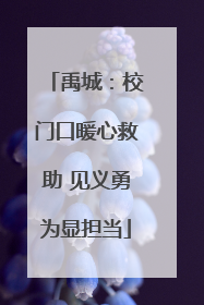 禹城：校门口暖心救助 见义勇为显担当