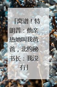 离谱！特朗普：他亲热地叫我爸爸，北约秘书长：我没有