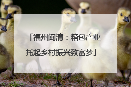 福州闽清：箱包产业托起乡村振兴致富梦