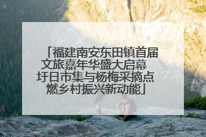 福建南安东田镇首届文旅嘉年华盛大启幕 圩日市集与杨梅采摘点燃乡村振兴新动能