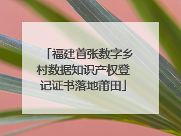 福建首张数字乡村数据知识产权登记证书落地莆田