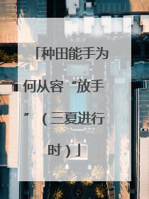 种田能手为何从容“放手”（三夏进行时）