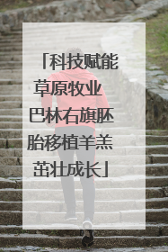 科技赋能草原牧业 巴林右旗胚胎移植羊羔茁壮成长