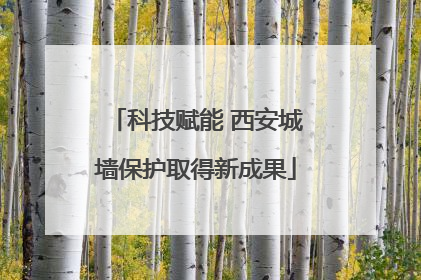 科技赋能 西安城墙保护取得新成果