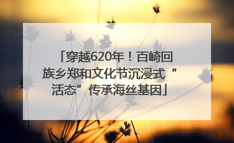 穿越620年！百崎回族乡郑和文化节沉浸式“活态”传承海丝基因