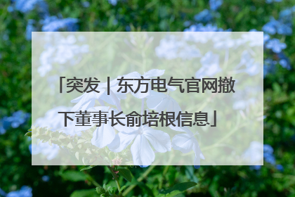 突发｜东方电气官网撤下董事长俞培根信息