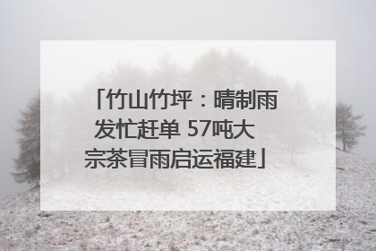 竹山竹坪：晴制雨发忙赶单 57吨大宗茶冒雨启运福建