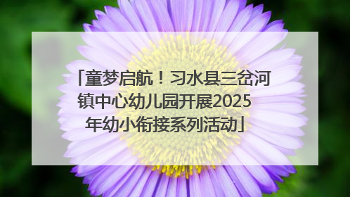 童梦启航！习水县三岔河镇中心幼儿园开展2025年幼小衔接系列活动