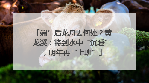 端午后龙舟去何处？黄龙溪：将到水中“沉睡”，明年再“上班”