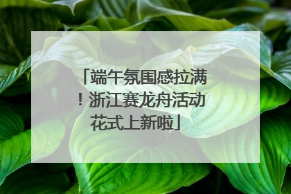 端午氛围感拉满！浙江赛龙舟活动花式上新啦