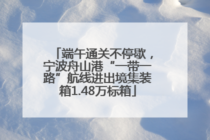 端午通关不停歇，宁波舟山港“一带一路”航线进出境集装箱1.48万标箱