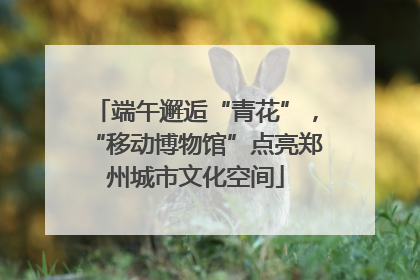 端午邂逅“青花”，“移动博物馆”点亮郑州城市文化空间