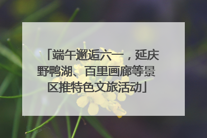 端午邂逅六一，延庆野鸭湖、百里画廊等景区推特色文旅活动