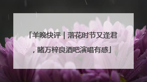 羊晚快评｜落花时节又逢君，睹万梓良酒吧演唱有感