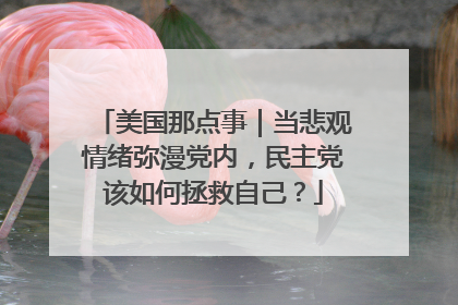 美国那点事｜当悲观情绪弥漫党内，民主党该如何拯救自己？