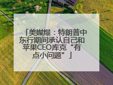 美媒爆：特朗普中东行期间承认自己和苹果CEO库克“有点小问题”