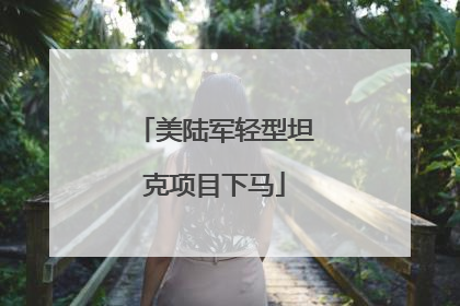 美陆军轻型坦克项目下马