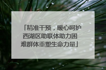精准干预，暖心呵护 西湖区助联体助力困难群体重塑生命力量