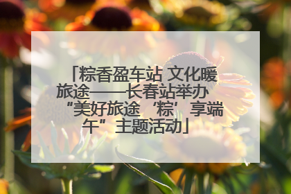 粽香盈车站 文化暖旅途——长春站举办 “美好旅途‘粽’享端午”主题活动