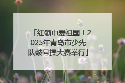 红领巾爱祖国！2025年青岛市少先队鼓号操大赛举行