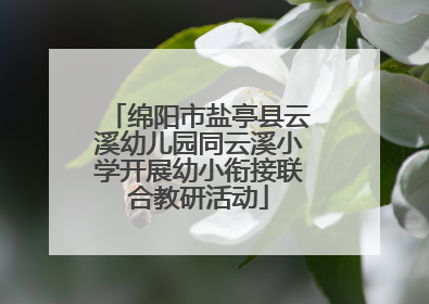 绵阳市盐亭县云溪幼儿园同云溪小学开展幼小衔接联合教研活动