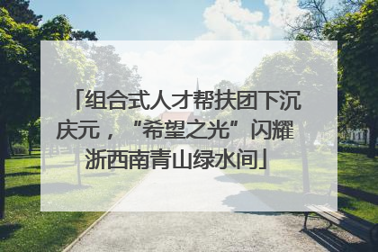 组合式人才帮扶团下沉庆元，“希望之光”闪耀浙西南青山绿水间
